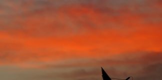 Gli americani fanno le prove generali di disastro digitale